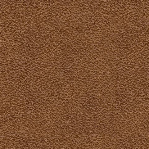 Carianna Caramel Leather Nailhead Loveseat