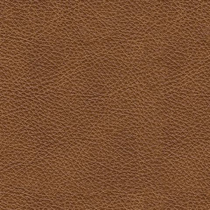 Carianna Caramel Leather Nailhead Loveseat