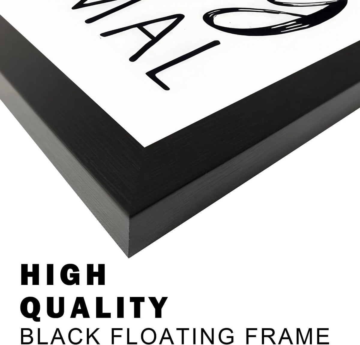 Black & White Bathroom Wall Art, Framed